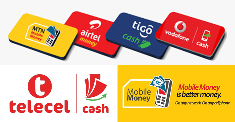Mobile Money Payment Integration